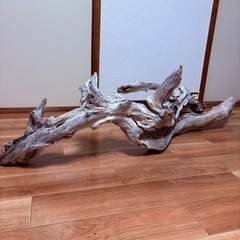 天然流木！巨大サイズ！１３０cm！の画像