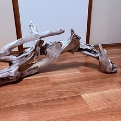 天然流木！巨大サイズ！１３０cm！の画像
