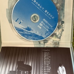 DVD 世界の中心で、愛をさけぶ の画像