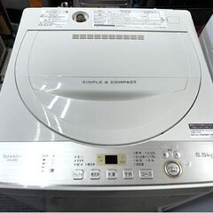 【分解清掃済み！】洗濯機 5.5kg 2019年製 シャープ ES-GE5C ホワイト SHARP ☆ 札幌市 白石店の画像