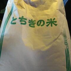 受け渡し先決定  令和６年栃木県産 お米 玄米 ２０キロ