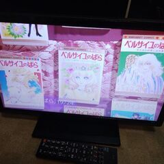ドウシシャ19インチ地デジテレビ　きれいの画像