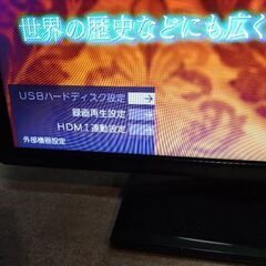ドウシシャ19インチ地デジテレビ　きれいの画像