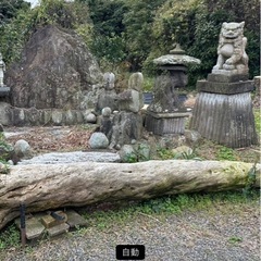 【断捨離】大幅値下げ ヒトツバ2本 