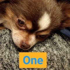 😀茂原市本納にフリースクール　One and onlyがあるよ。の画像