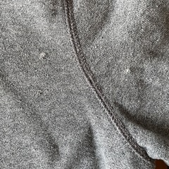 アメリカイーグル　パーカー　トレーナー　Lサイズの画像