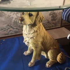 ゴールデンレトリバーのガラステーブルの画像