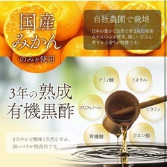 元値2570円！未開封 【贅沢に丸ごと漬け込んだ】生フルーツ黒酢 温州みかん 500ml 希釈用 国産 無添加 保存料 着色料 ダイエット 飲むお酢 黒酢 ドリンク オレンジ みかん 福山黒酢 桷志田の画像