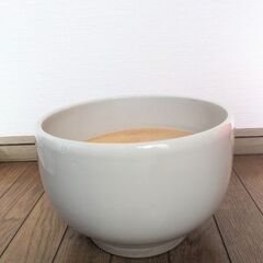 インテリア陶器鉢 サークル型 【オフホワイト】 底穴あり の画像