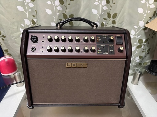 BOSS アコースティックシンガーライブ