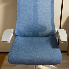 イトーキ ITOKI アクトチェア　定価17万　テクスチャードメ...