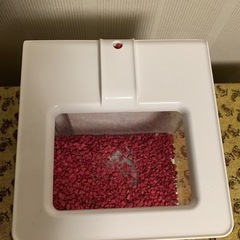 オーバーフロータイプのベタ水槽の画像