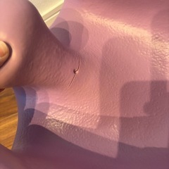バンボの画像