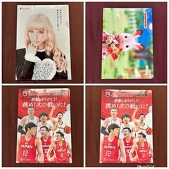 クリアファイル 16枚　の画像