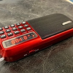 （決まりました！）FM &SDカードオーディオ の画像