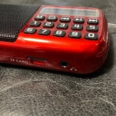 （決まりました！）FM &SDカードオーディオ の画像