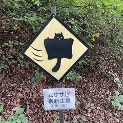 花友募集