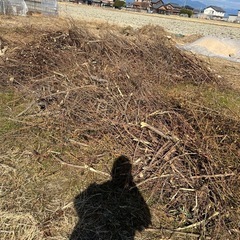 キャンプの焚き火にいかがでしょうか？焚き木