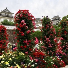 平日お出かけを一緒に楽しんでくださる友達🌸 - 広島市