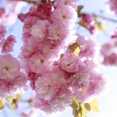 平日お出かけを一緒に楽しんでくださる友達🌸