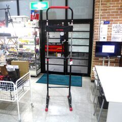 EASY CHANGE イージーチェンジ ぶらさがり健康器 懸垂...