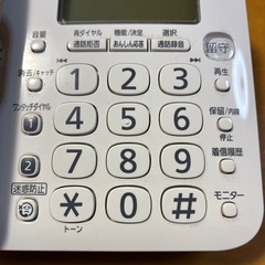 Panasonicの電話機VE-GZ20-Wの画像