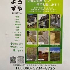 チラシ