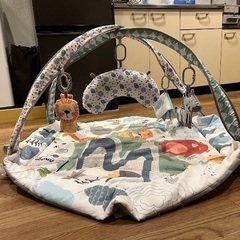 Baby gym matの画像