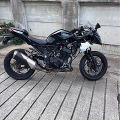 カワサキ　Ninja250Lの画像