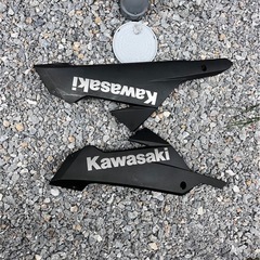 カワサキ　Ninja250Lの画像