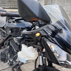 カワサキ　Ninja250Lの画像
