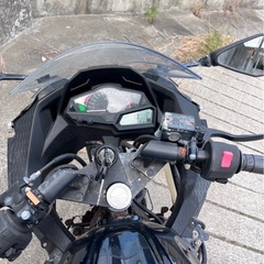 カワサキ　Ninja250Lの画像