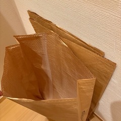 ②大袋・内側ラミネートビニールタイプ　10袋