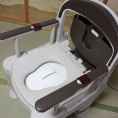 Panasonic ポータブルトイレ 座楽 ラフィーネ PN-L30200 標準