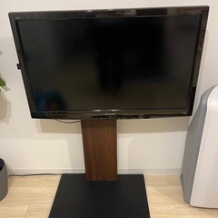 テレビ 
