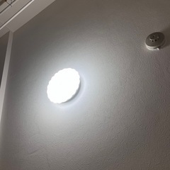 2月12日午前中引き取り限定　可愛いキラキラ電灯　リモコン付き