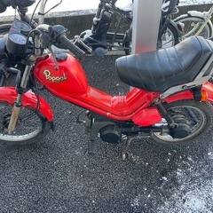 取引中　ポップギャルの画像