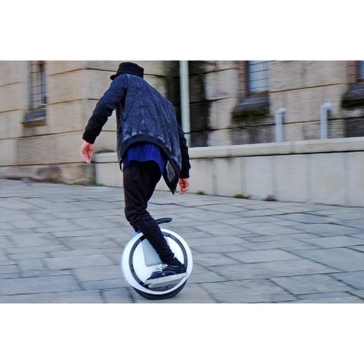 パーソナルモビリティNinebot One(ナインボットワン) 正規品早い者勝ち パーソナルモビリティNinebot One(ナインボットワン) 正規品早い者勝ち