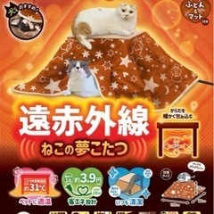 猫こたつ(*^ω^*)