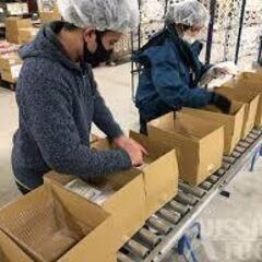 安定勤務可能！週５日　月曜〜金曜　日給10,400円　日払いOKの画像