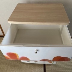 訳ありプラスチック製チェストの画像