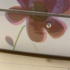 訳ありプラスチック製チェストの画像