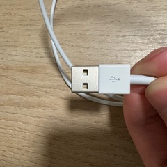 iPhone cable アイフォーンケーブルの画像