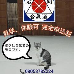 岩間神信合氣修練会 本部道場  伝統岩間流 合氣道   Iwama Shinshin Aiki Shuren Kaiの画像