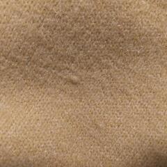 レディースニットの画像