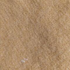 レディースニットの画像