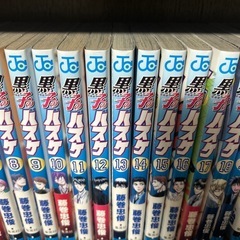 (譲渡済み)の画像