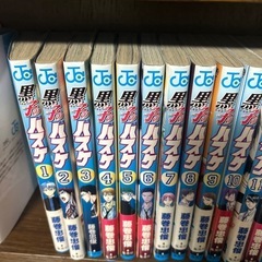 (譲渡済み)の画像