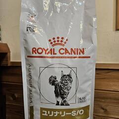 ロイヤルカナン　キャットフード