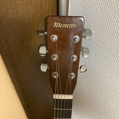 Morris　モーリス　 MF256TSの画像